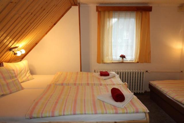 Hotel-Penzion Johanka Háj 外观 照片
